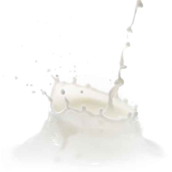 latte_250-1.jpg